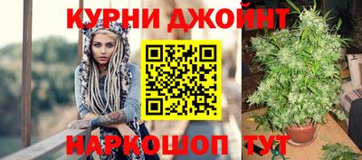 шишки Конаково