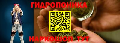 шишки Конаково