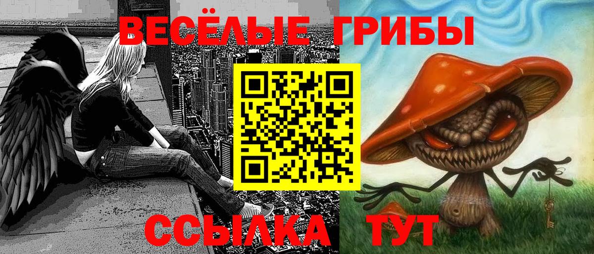 Валуйки  Псилоцибиновые грибы Psilocybine cubensis  Вход с VPN 
