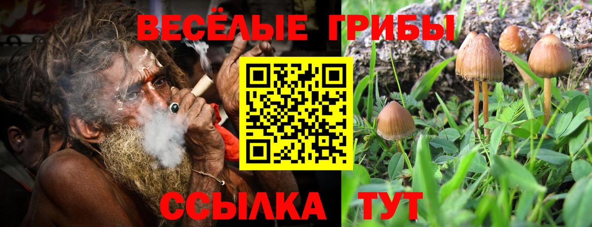 Псилоцибиновые грибы прущие грибы Валуйки
